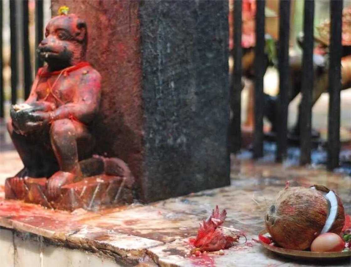 Tsakanin dan adam da kudi: Ya kashe mahaifiyar sa, ya kwakule mata zuciya da ido daya domin yin tsafin kudi Tsakanin dan adam da kudi: Ya kashe mahaifiyar sa, ya kwakule mata zuciya da ido daya domin yin tsafin kudi