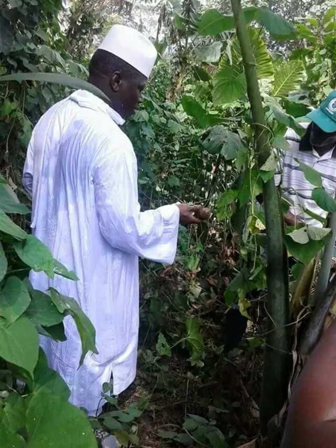 Tsohon shugaban Gambia, Yahaya Jammeh ya koma gona