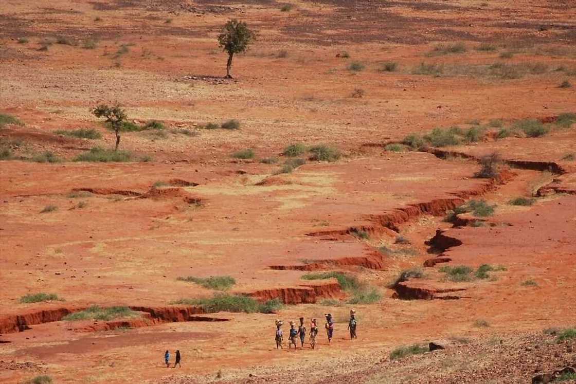 Which desert's edge is found at Nigeria's northernmost borderland? The Sahel region's problem is an urgent issue in Nigeria.