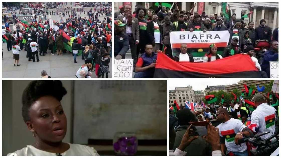 BREAKING: Chimamanda Ngozi Adichie, 11 professors set to storm Washington DC for Biafra conference BREAKING: Chimamanda Ngozi Adichie, 11 professors set to storm Washington DC for Biafra conference