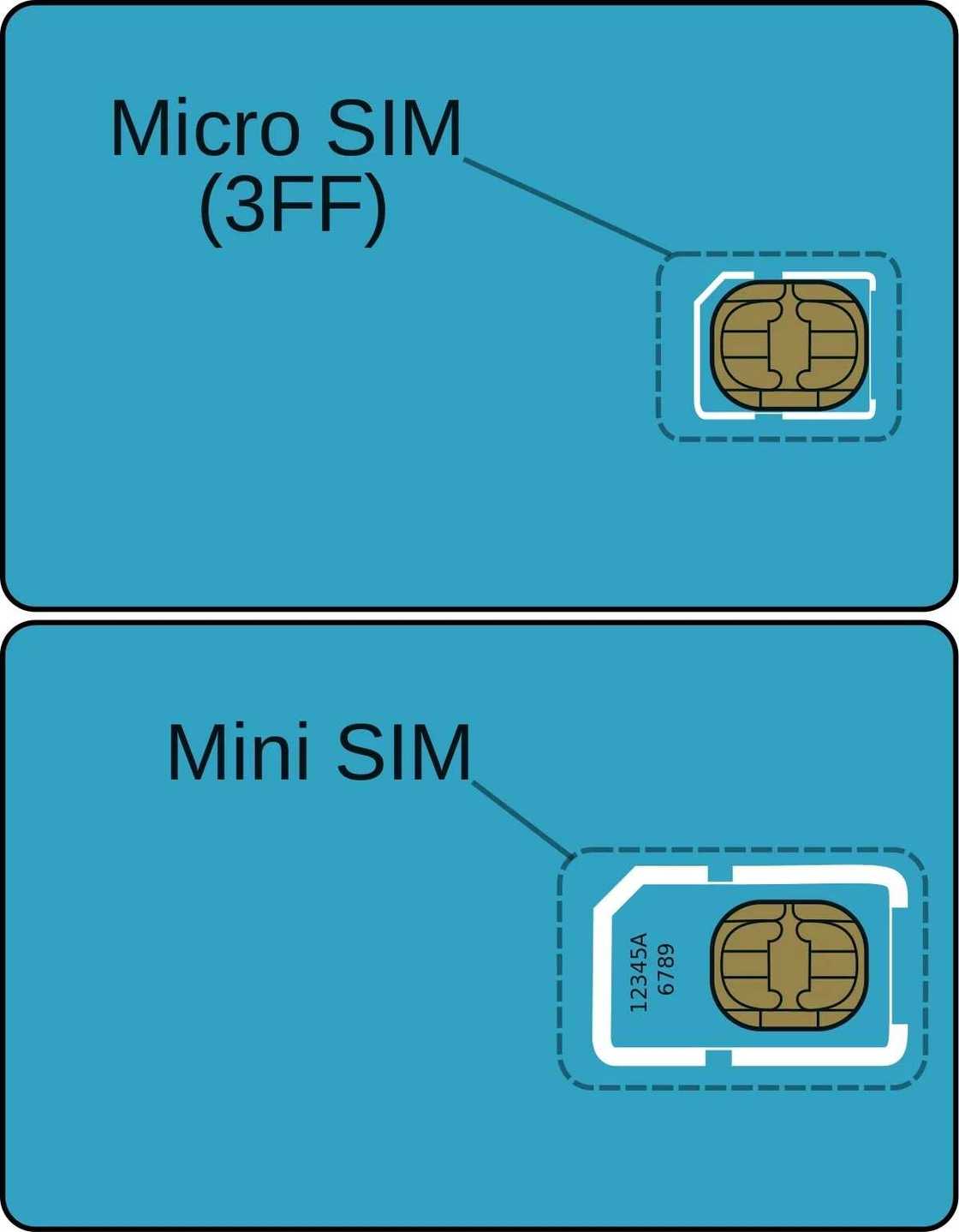 Micro SIM