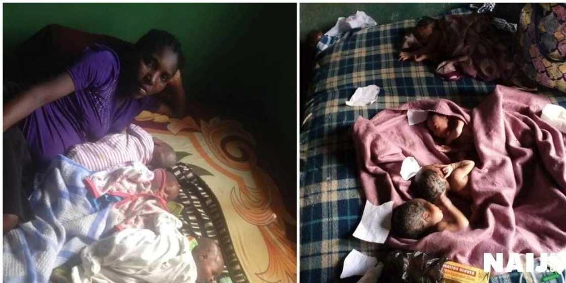 quadruplet babies quadruplet babies