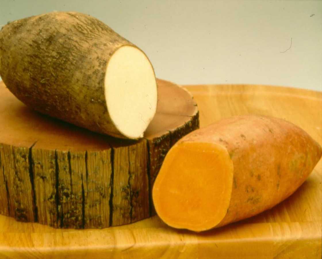 The main agricultural products in Nigeria: yam