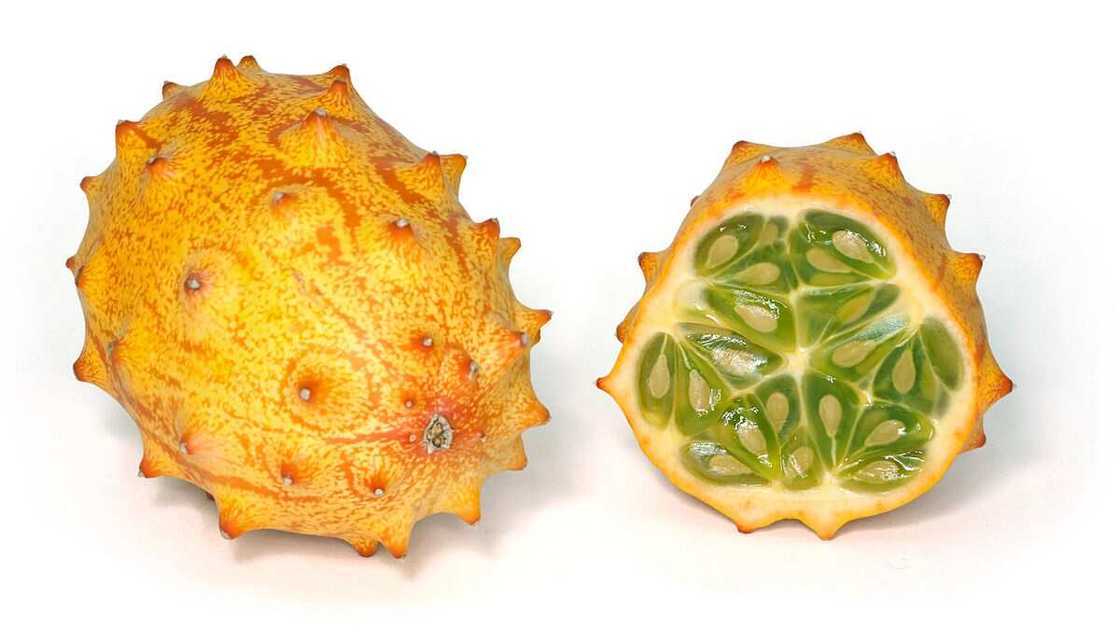 kiwano fruit kiwano fruit