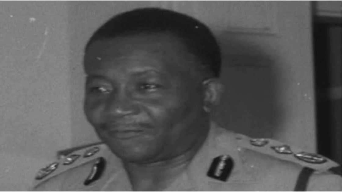 Full list, profiles of Nigeria's IG of police since Independence