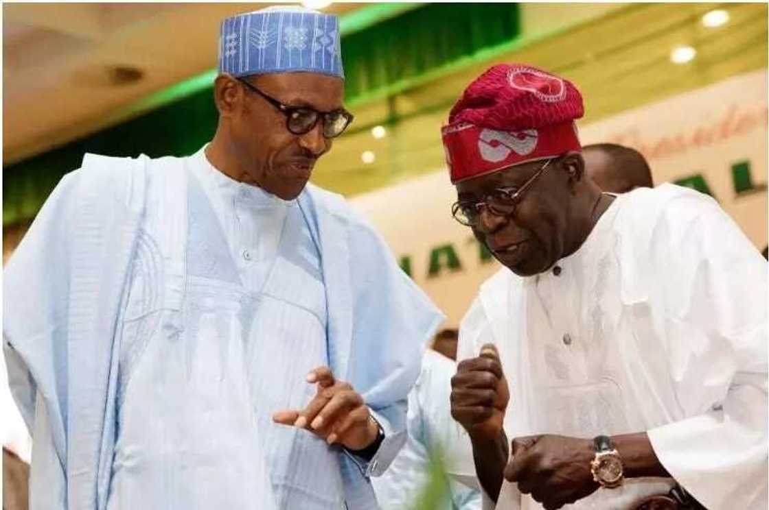 Muhimman abubuwa 10 daya dace ka sani game da Bola Tinubu yayin cikar sa shekaru 66 a duniya Muhimman abubuwa 10 daya dace ka sani game da Bola Tinubu yayin cikar sa shekaru 66 a duniya