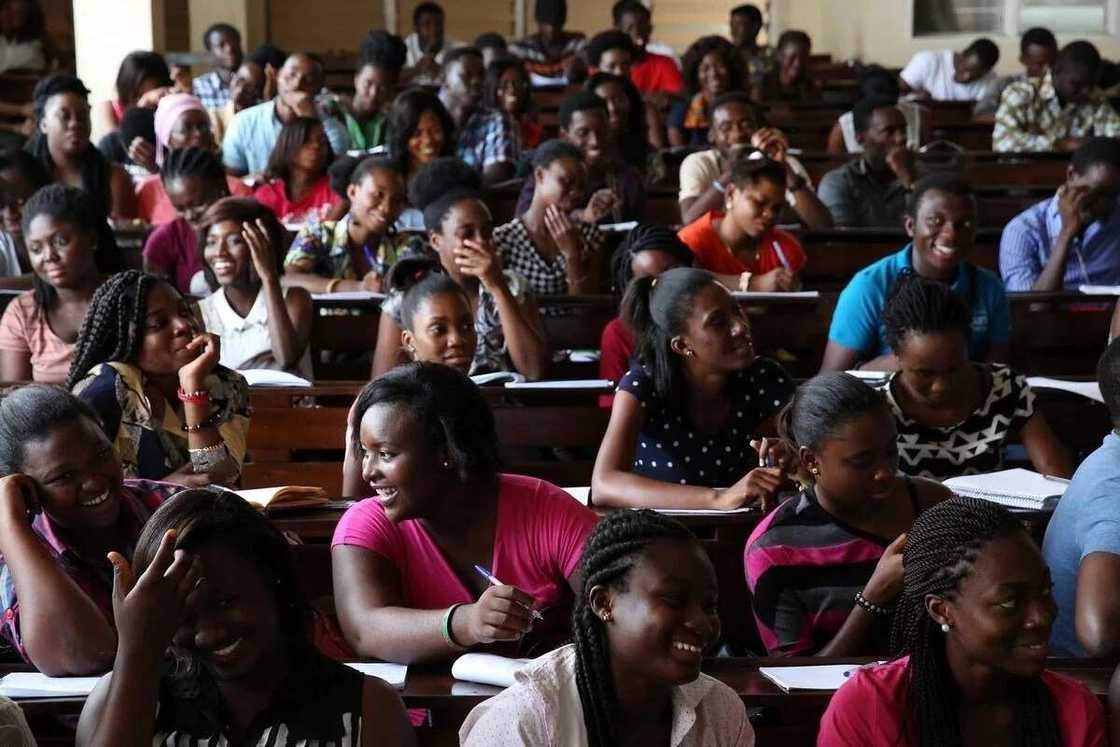 Les étudiants de l’Université