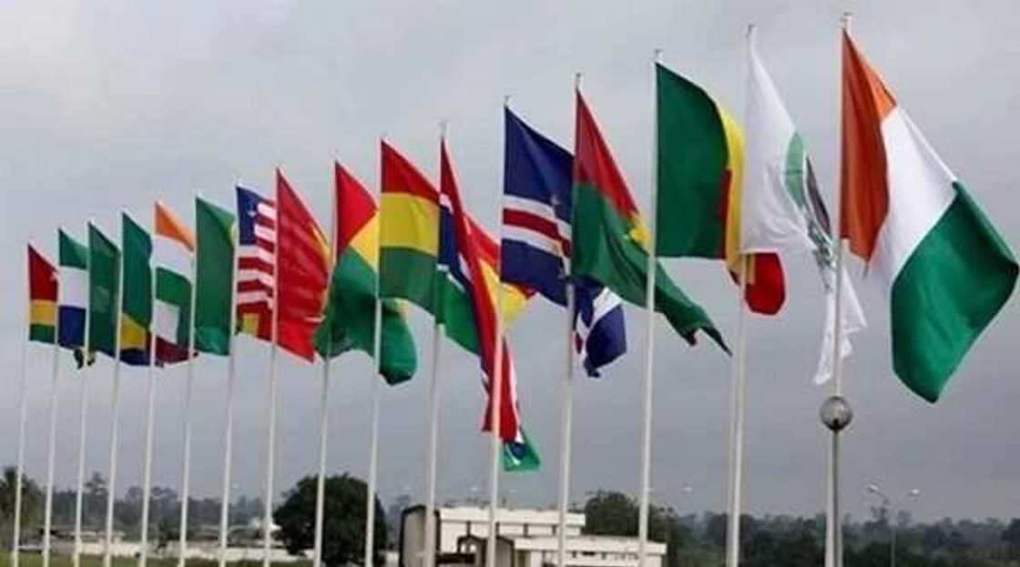 Members of ECOWAS and their presidents Members of ECOWAS and their presidents