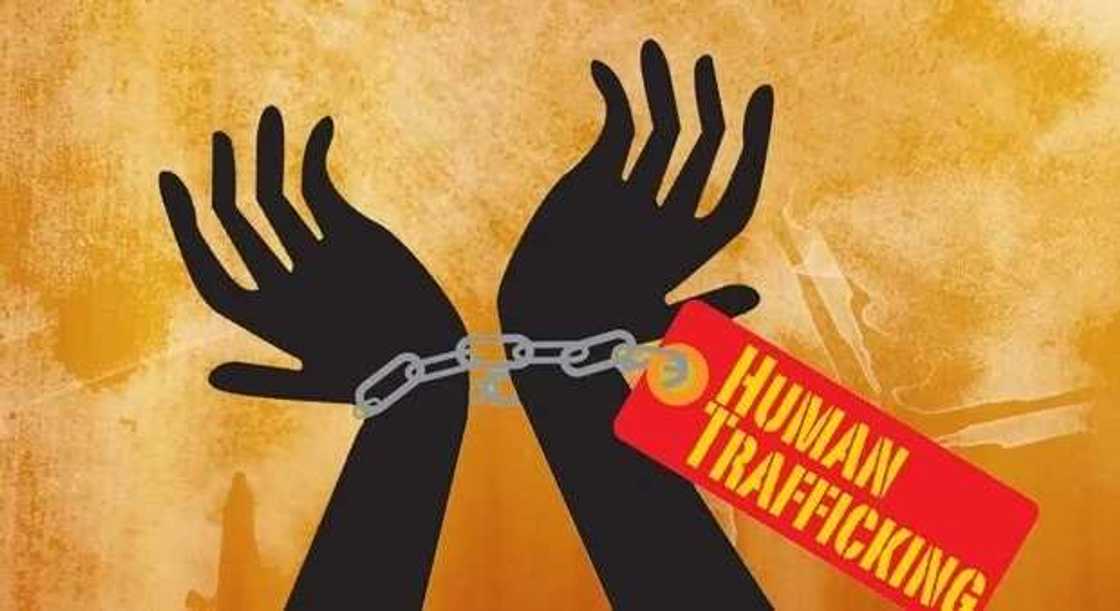 What are the major causes of human trafficking in Nigeria? What are the major causes of human trafficking in Nigeria?