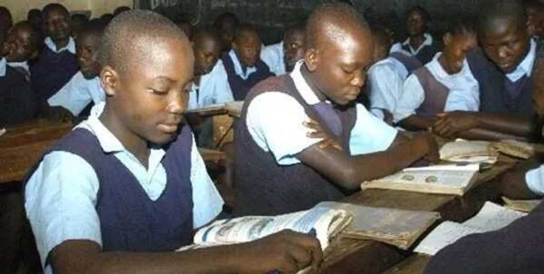 Nigerian educational system and the national goals