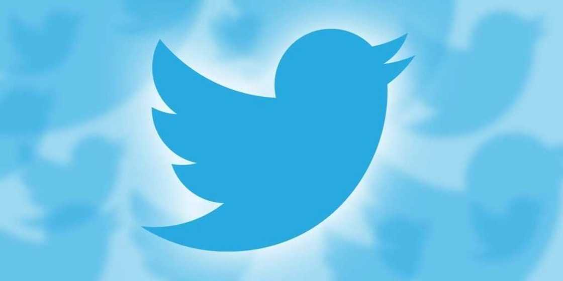 7. Twitter 7. Twitter