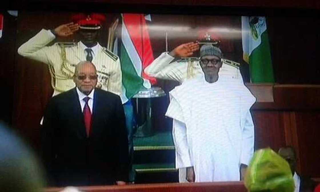 Zuma extols virtues of Buhari in fight against apartheid Zuma extols virtues of Buhari in fight against apartheid