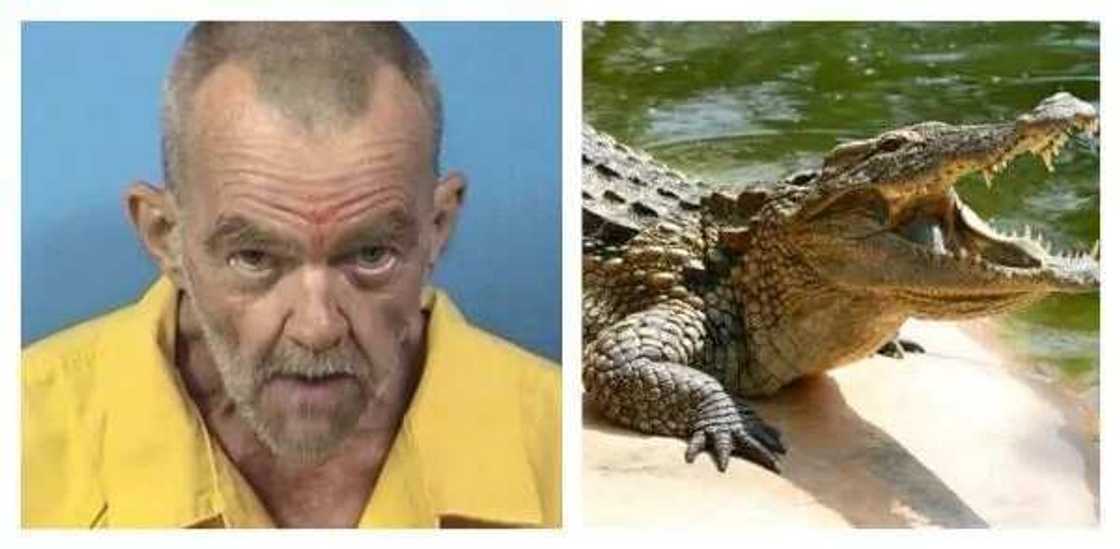 Police Arrest Man For Raping, Torturing Crocodile