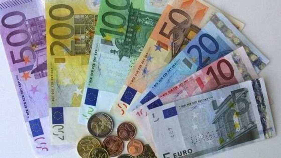 Euro in Germany Euro in Germany