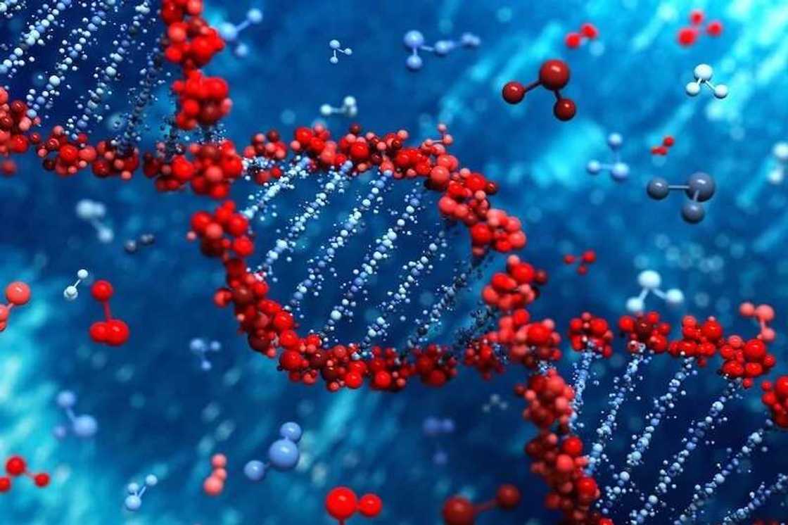genotype without blood test genotype without blood test