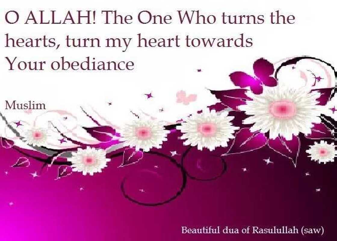 Ingantattun addu’o’i daga manzon Allah, Annabi Muhammadu (SAW) Ingantattun addu’o’i daga manzon Allah, Annabi Muhammadu (SAW)