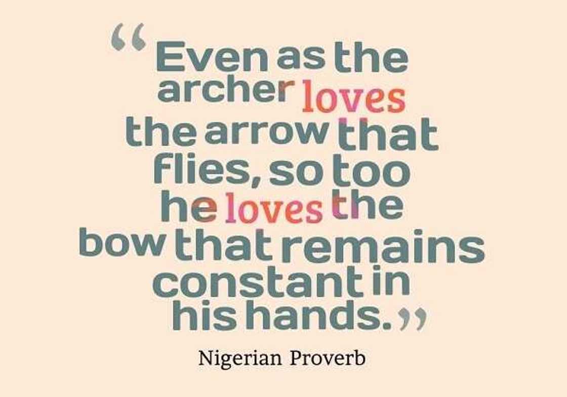 Top 15 Nigerian proverbs and their meanings