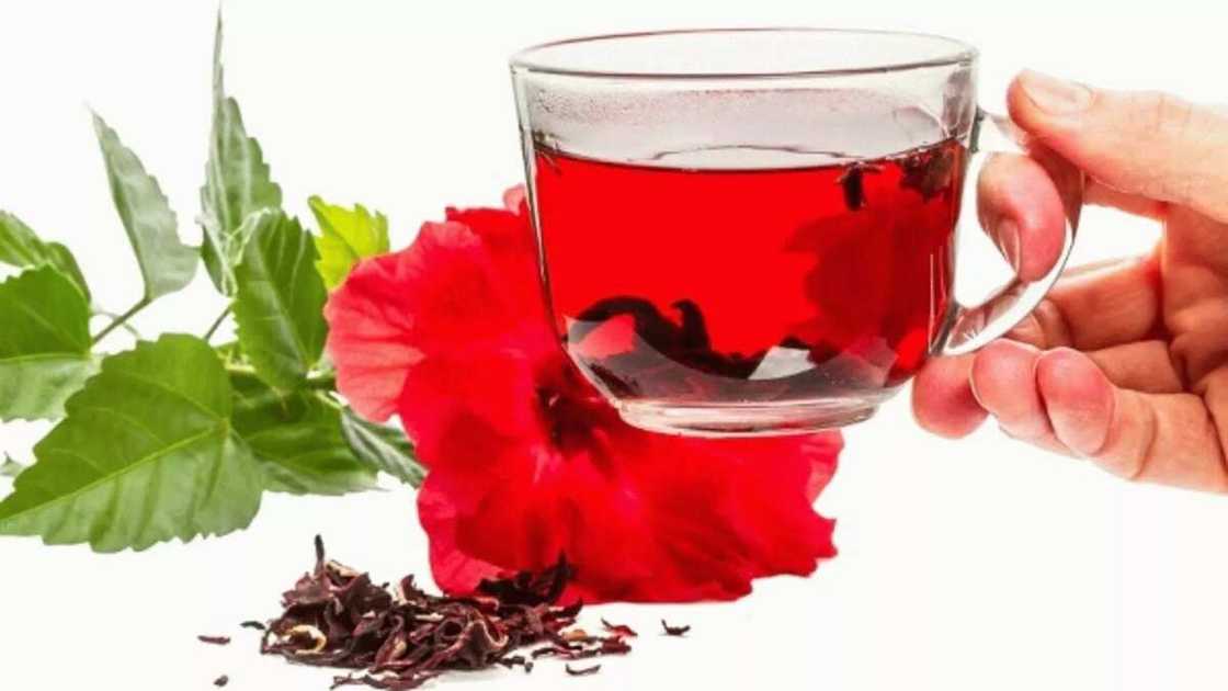 Zobo drink and breastfeeding: is it safe? Zobo drink and breastfeeding: is it safe?