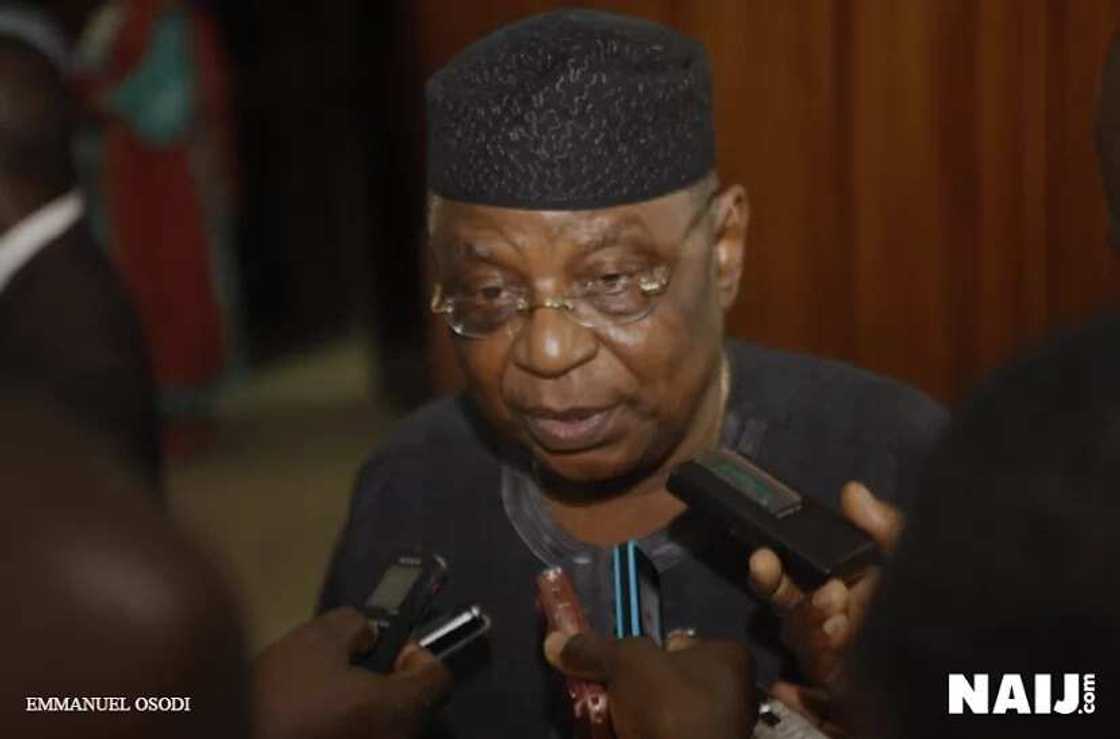 Buhari Is Petroleum Minister To Keep The Wolfs Out - APC Buhari Is Petroleum Minister To Keep The Wolfs Out - APC