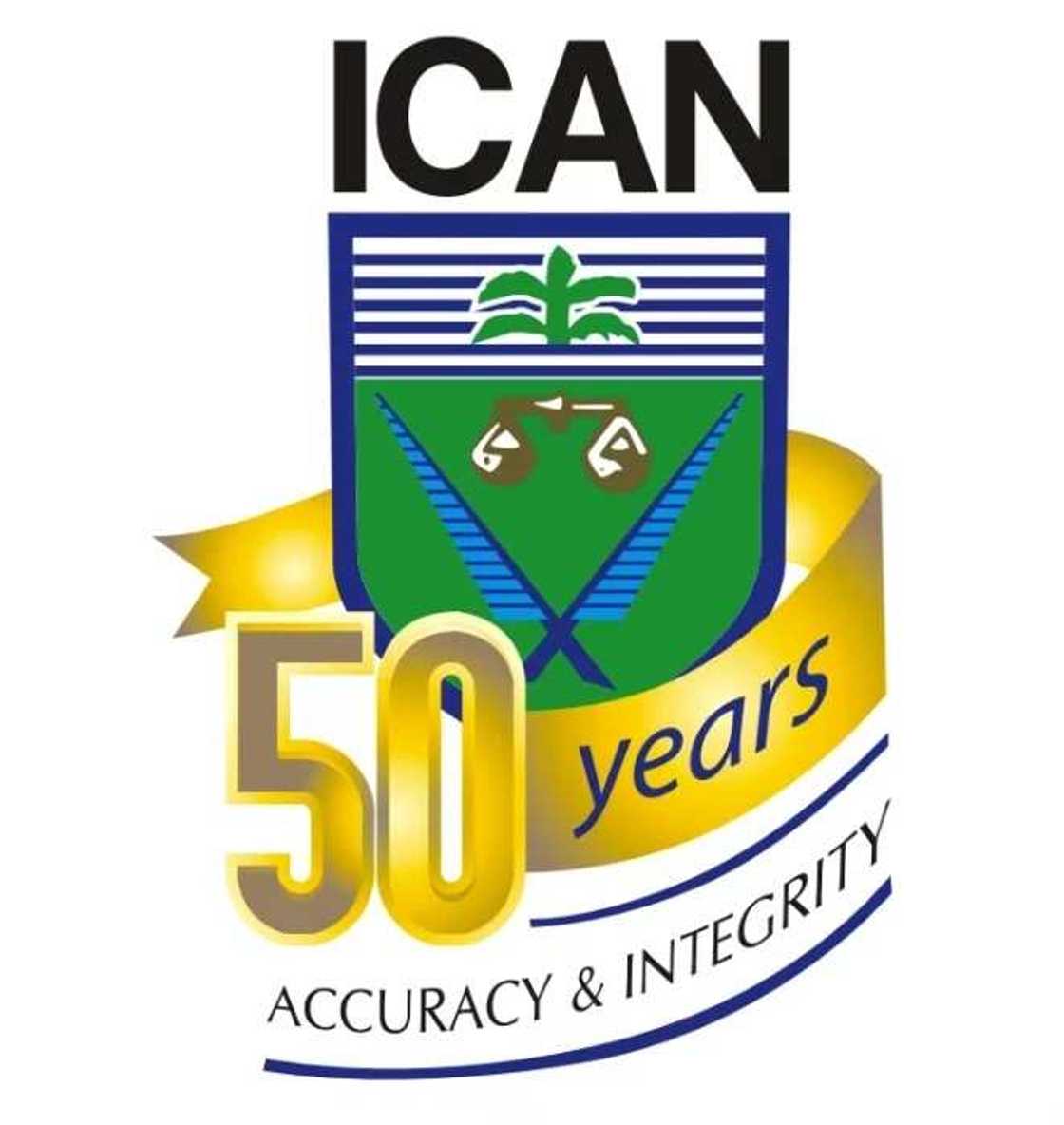 ICAN logo ICAN logo