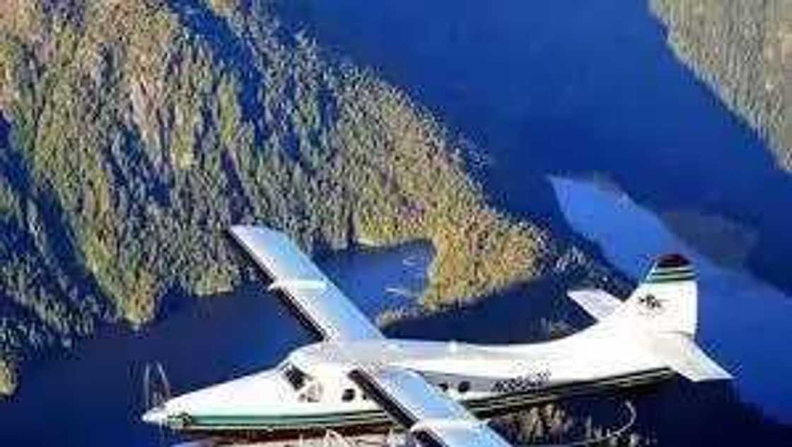 Plane Crash: Pilot And Eight Passengers Kiiled Plane Crash: Pilot And Eight Passengers Kiiled