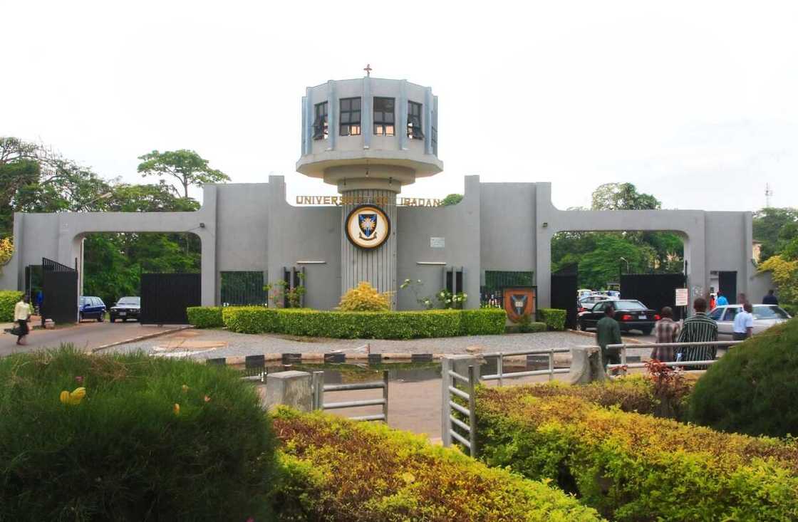 Adebowale becomes the new vice-chancellor of the University of Ibadan. Adebowale becomes the new vice-chancellor of the University of Ibadan.