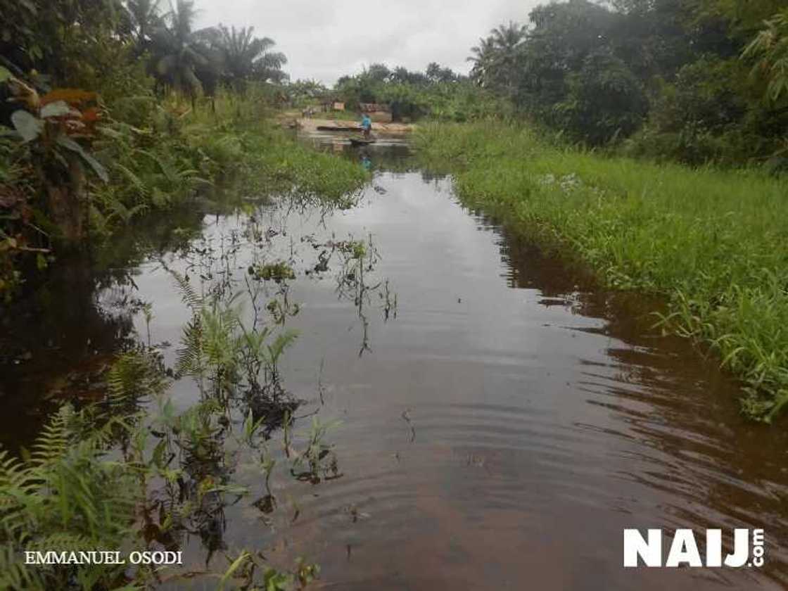 Pathetic Story Of Oil Community Ravaged By Sufferings, Bad Social Amenities (Photos) Pathetic Story Of Oil Community Ravaged By Sufferings, Bad Social Amenities (Photos)