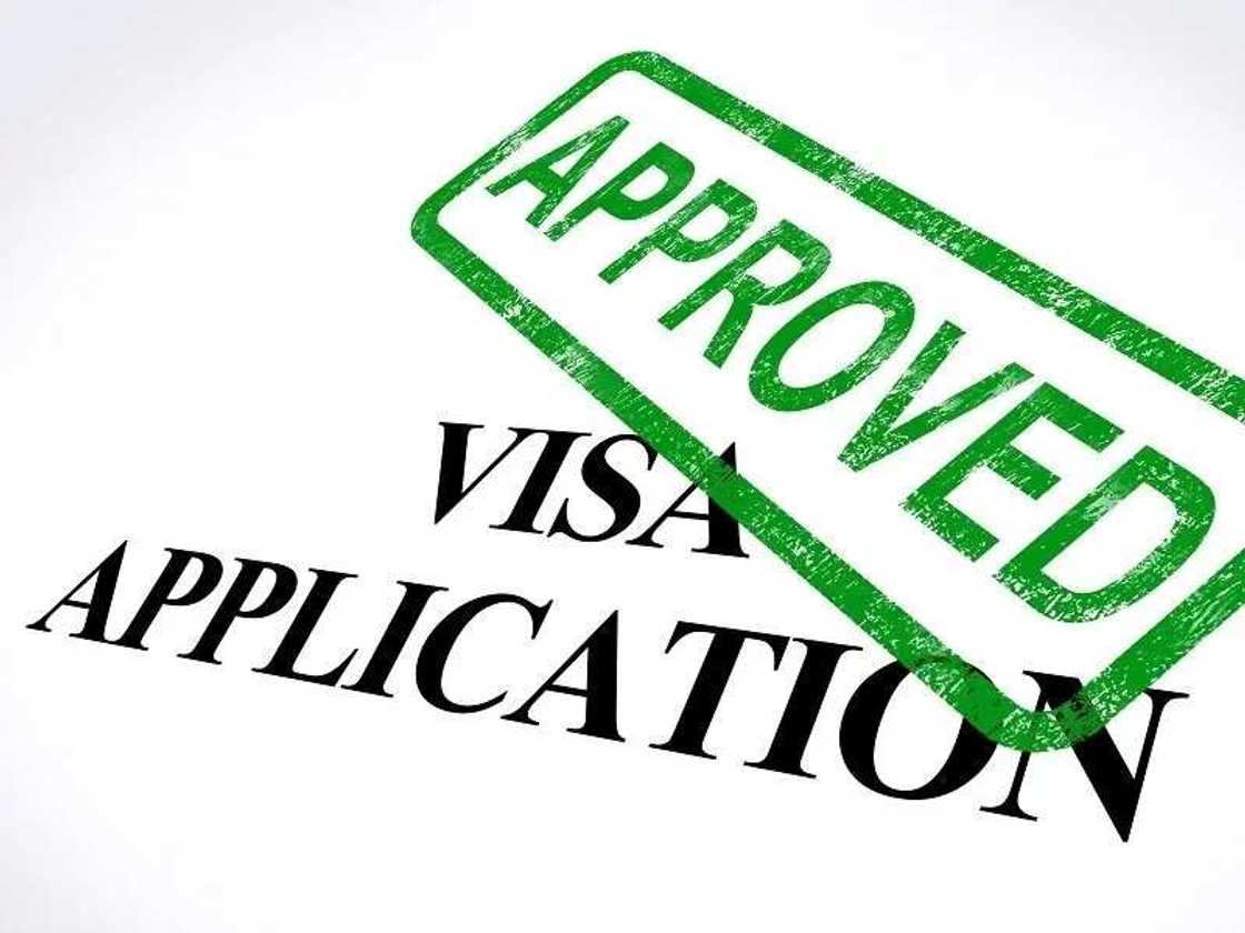 Approved Visa Application Approved Visa Application