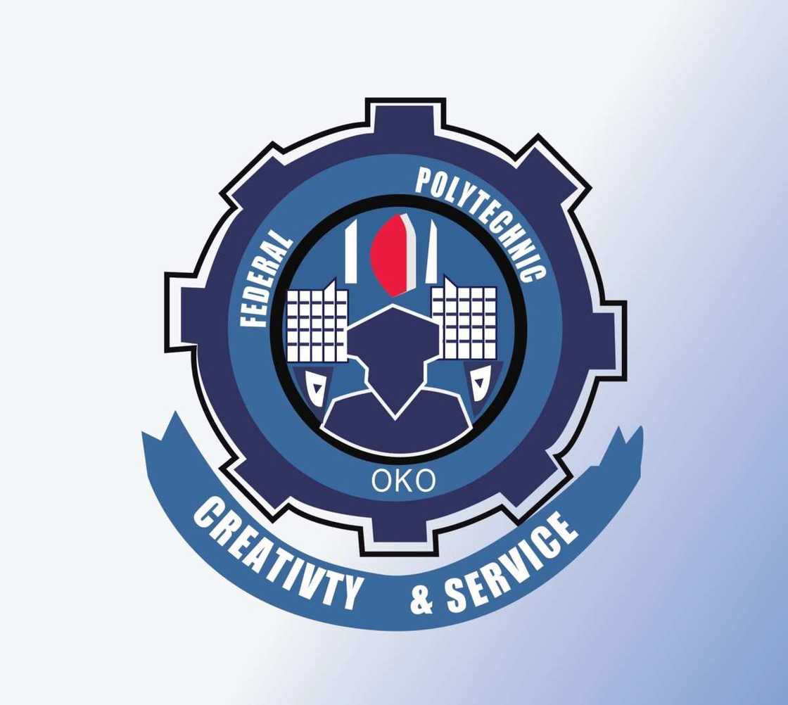 Oko Poly logo Oko Poly logo