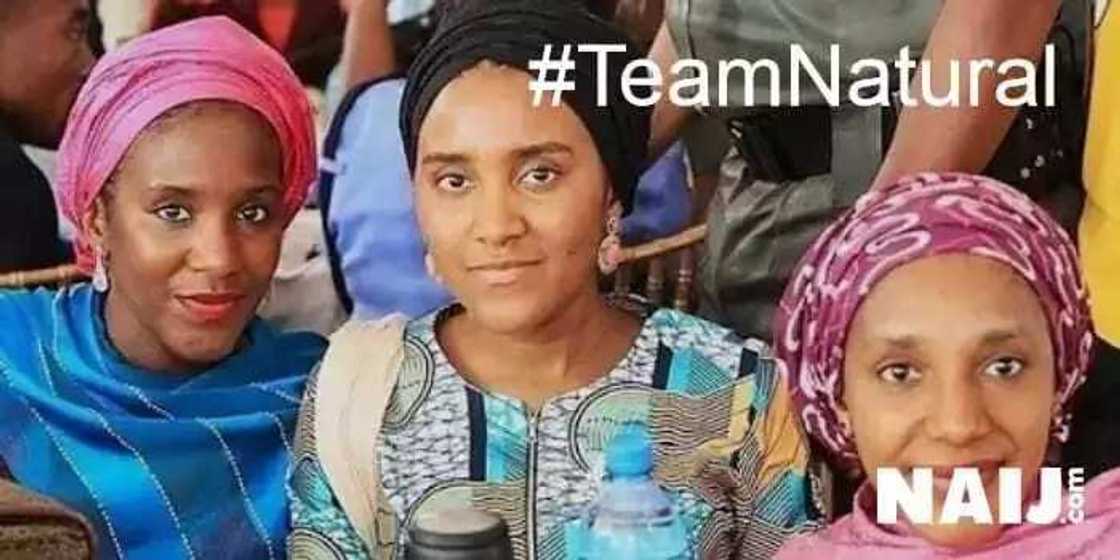 Hadaddun hotuna 10 na kyawawan ‘ya’yan masu kudin Arewa Hadaddun hotuna 10 na kyawawan ‘ya’yan masu kudin Arewa