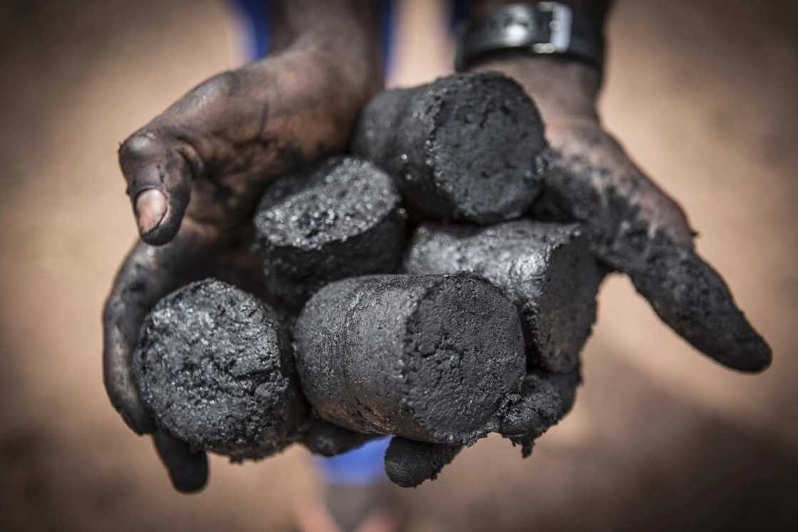 The hidden wealth in Charcoal business The hidden wealth in Charcoal business