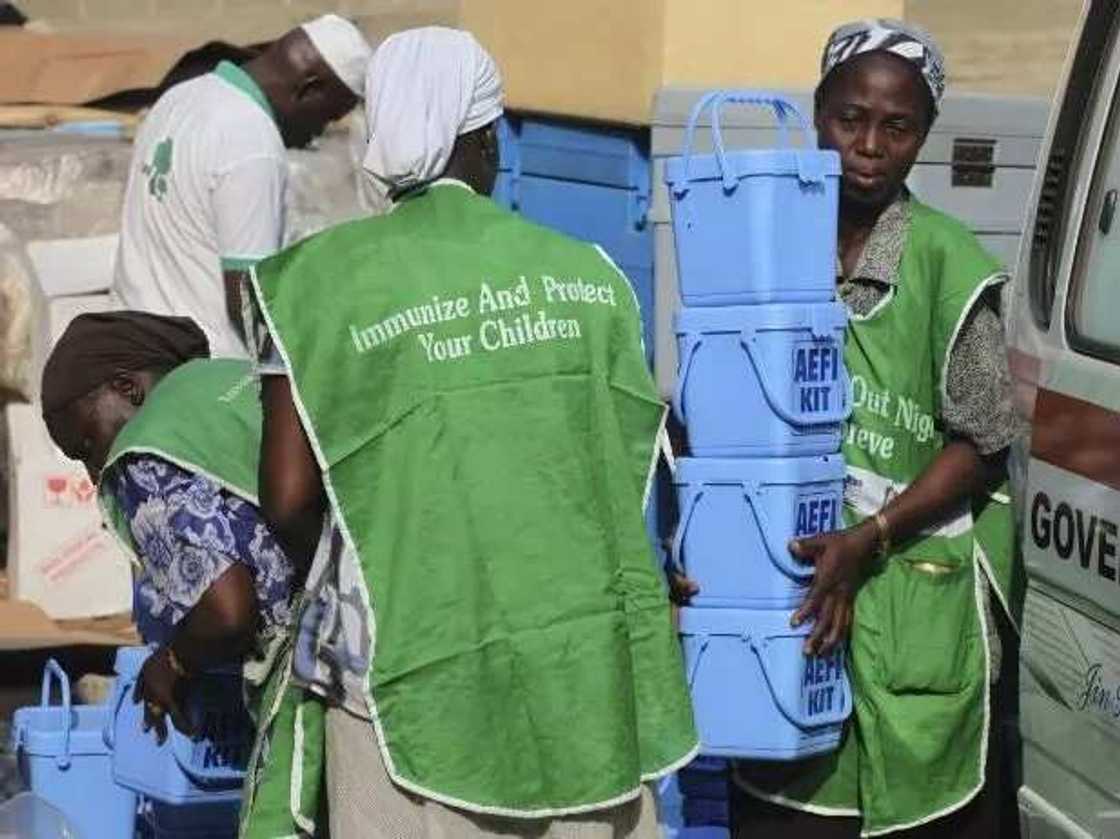 Kiwon lafiya: Jama’a sun guji allurar foliyo a Jihar Yobe Kiwon lafiya: Jama’a sun guji allurar foliyo a Jihar Yobe