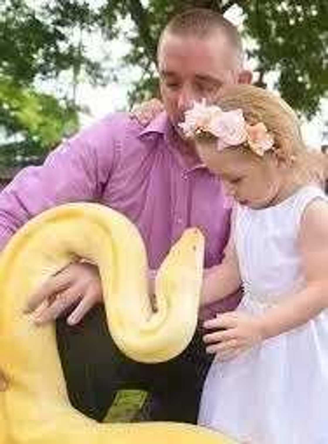 Meet Two Year Old With Guts To Kiss 15FT Snake