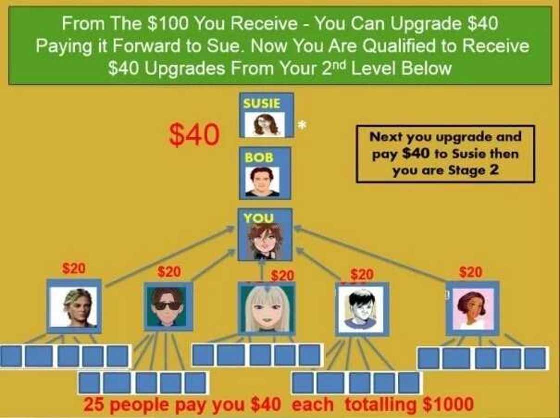 Crowdrising - how it works