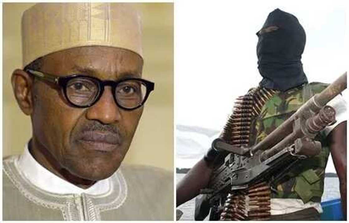 Former militant Former militant