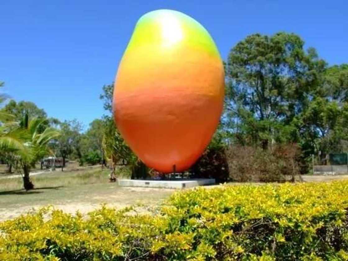 mango monument mango monument