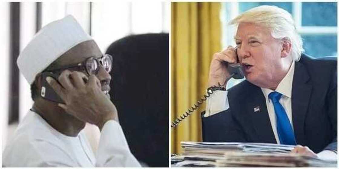 4 things Trump's phone call to Buhari means for pro-Biafra agitators and other Nigerians 4 things Trump's phone call to Buhari means for pro-Biafra agitators and other Nigerians