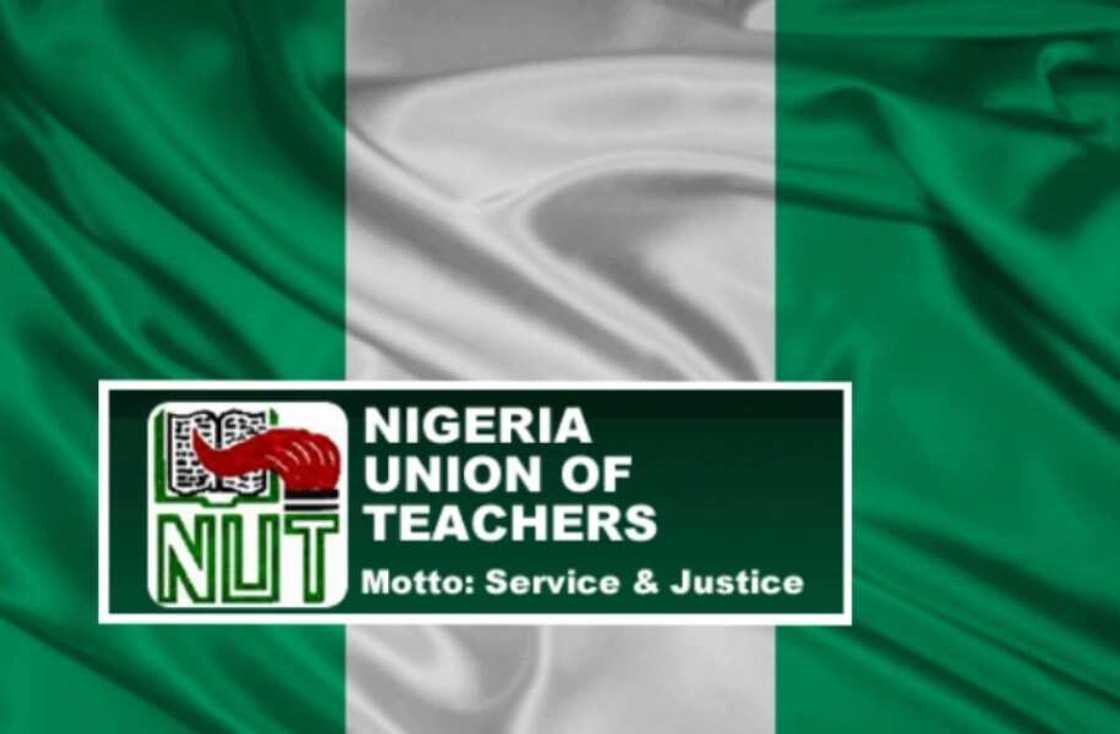 Pressure groups in Nigeria and their leaders Pressure groups in Nigeria and their leaders