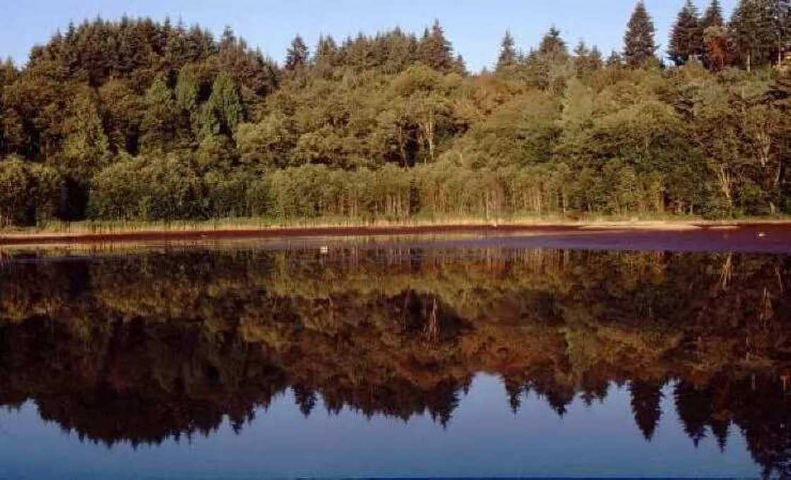 Surface water Surface water