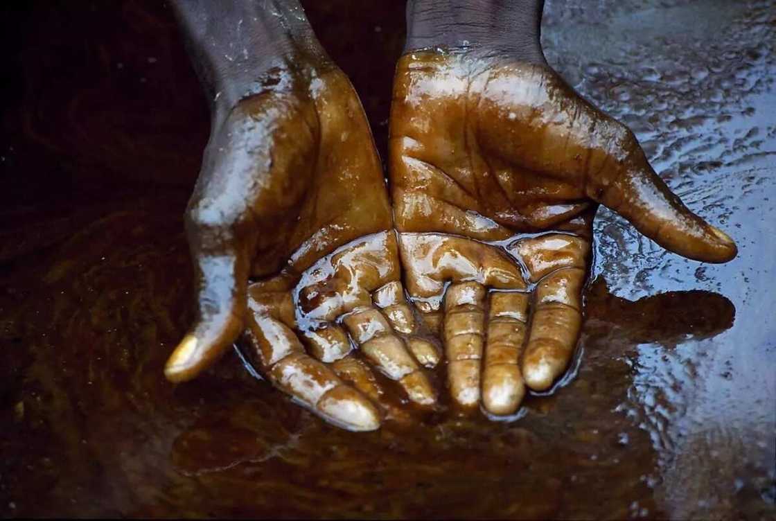 Introduction to the positive and negative contribution of Petroleum to Nigerian Economy Introduction to the positive and negative contribution of Petroleum to Nigerian Economy