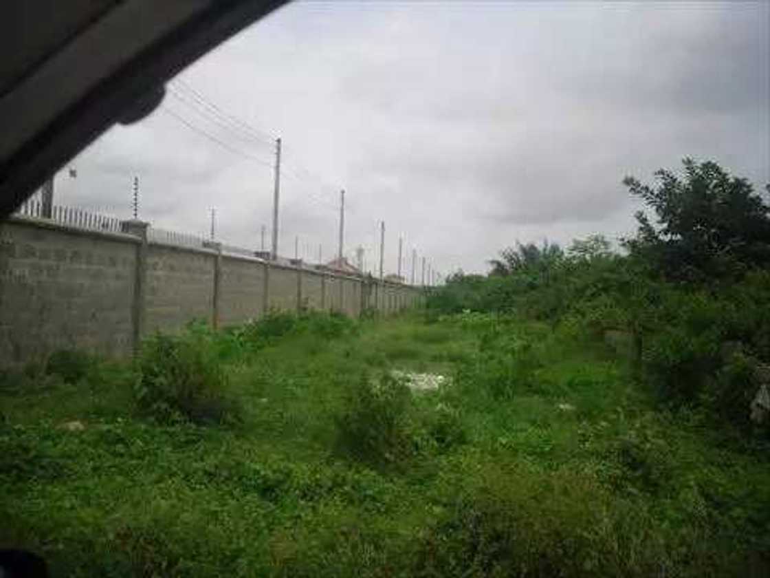 10 Most Fraudulent Places To Buy A Land In Lagos 10 Most Fraudulent Places To Buy A Land In Lagos
