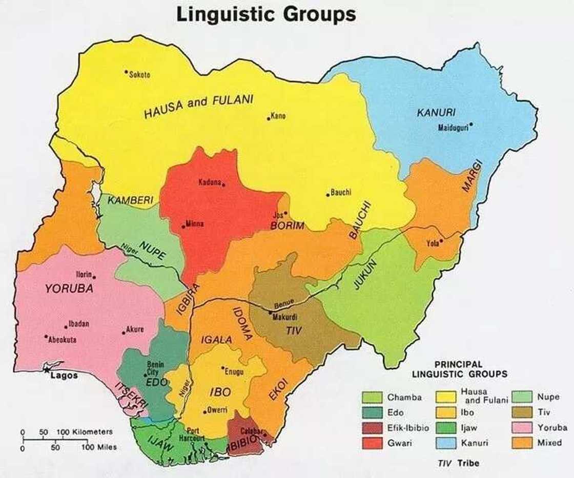 Ijaw languages Ijaw languages