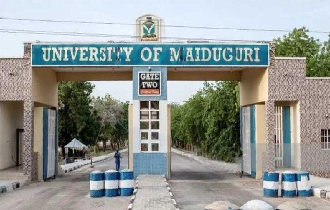 University of Maiduguri school fees