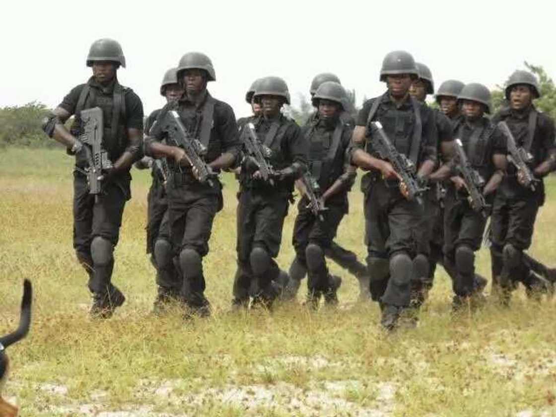 Faretin Sojoji da Hausa ya ja hankalin 'yan Najeria Faretin Sojoji da Hausa ya ja hankalin 'yan Najeria