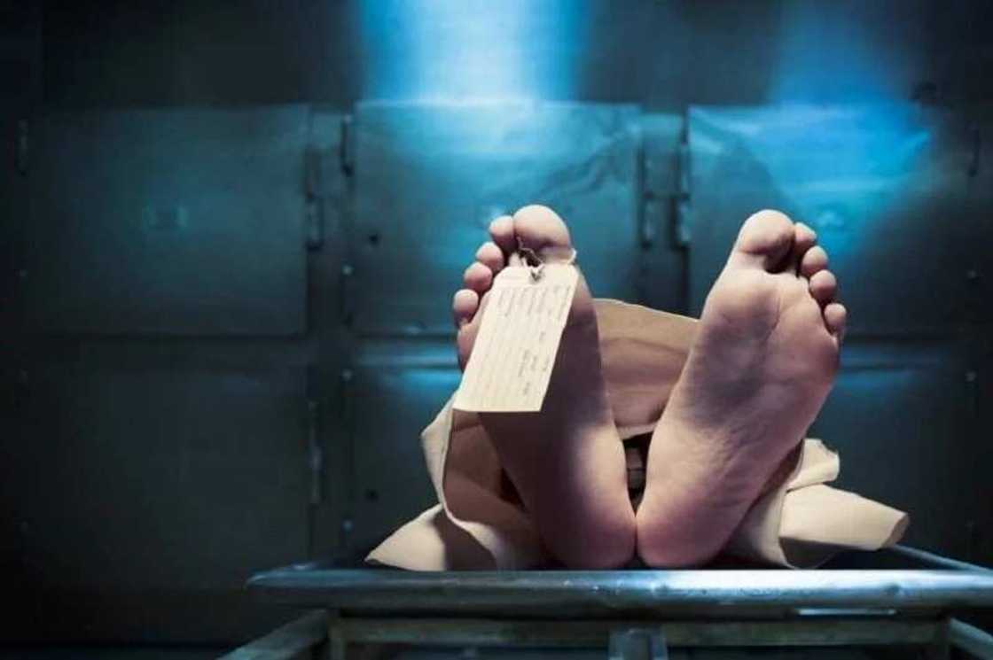 Wani mutum ya mutu ya tashi Wani mutum ya mutu ya tashi