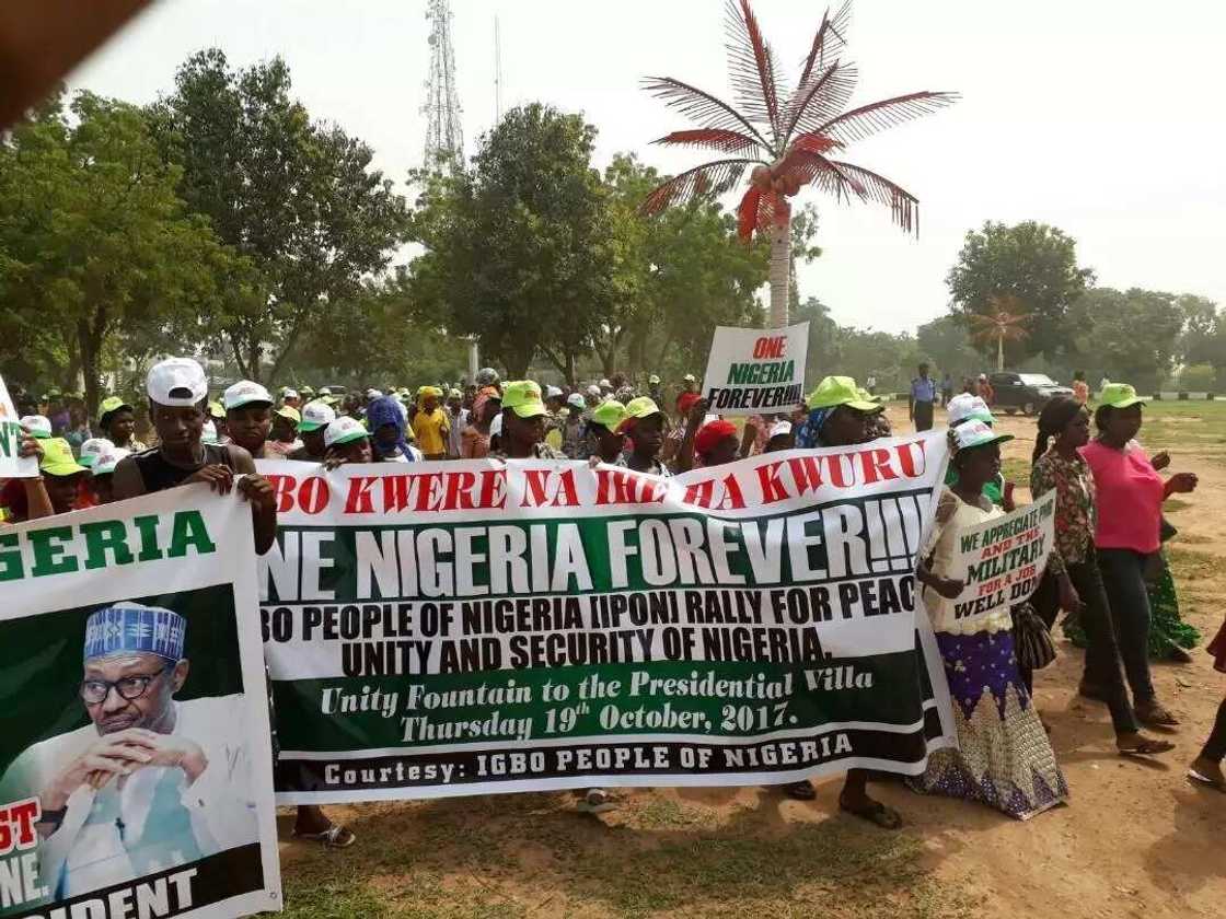 Operation Python Dance: Igbos march to Villa to commend Buhari (photos)