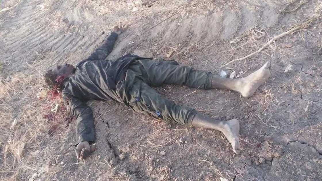 Weapons recovered, hostages freed after Boko Haram killed Weapons recovered, hostages freed after Boko Haram killed