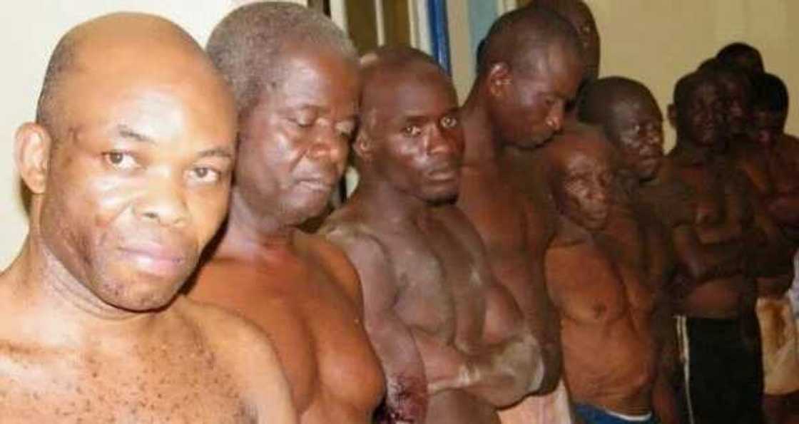 Biafran leader to declare independence for Igbo people on March 15 Biafran leader to declare independence for Igbo people on March 15