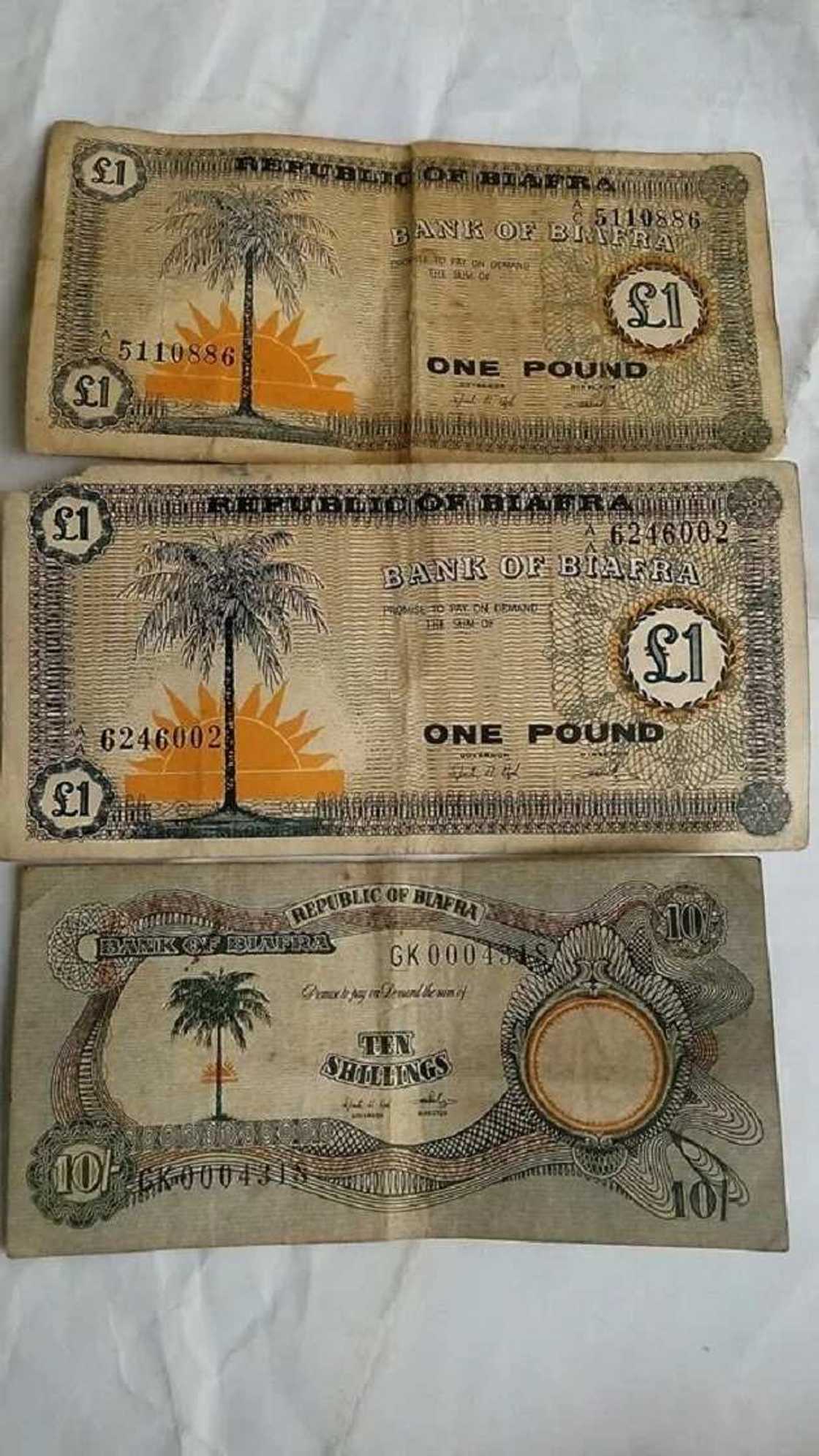 Biafra_notes Biafra_notes