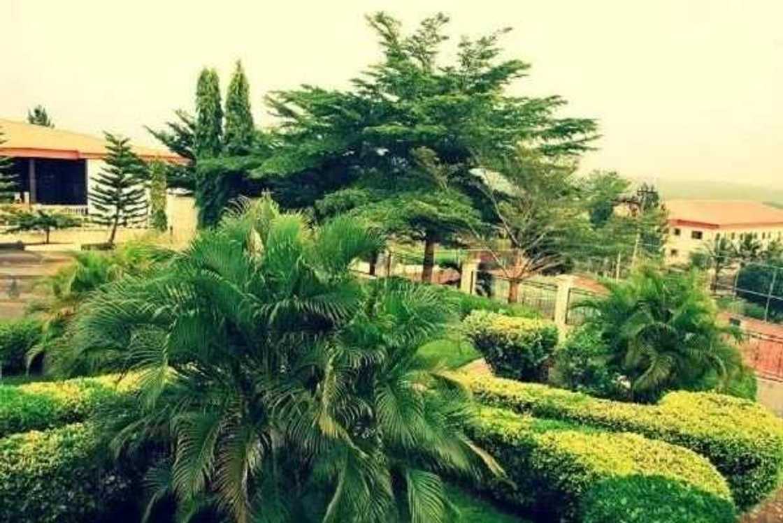 Checkout pictures from the 400-room mansion built by Orji Uzor Kalu Checkout pictures from the 400-room mansion built by Orji Uzor Kalu
